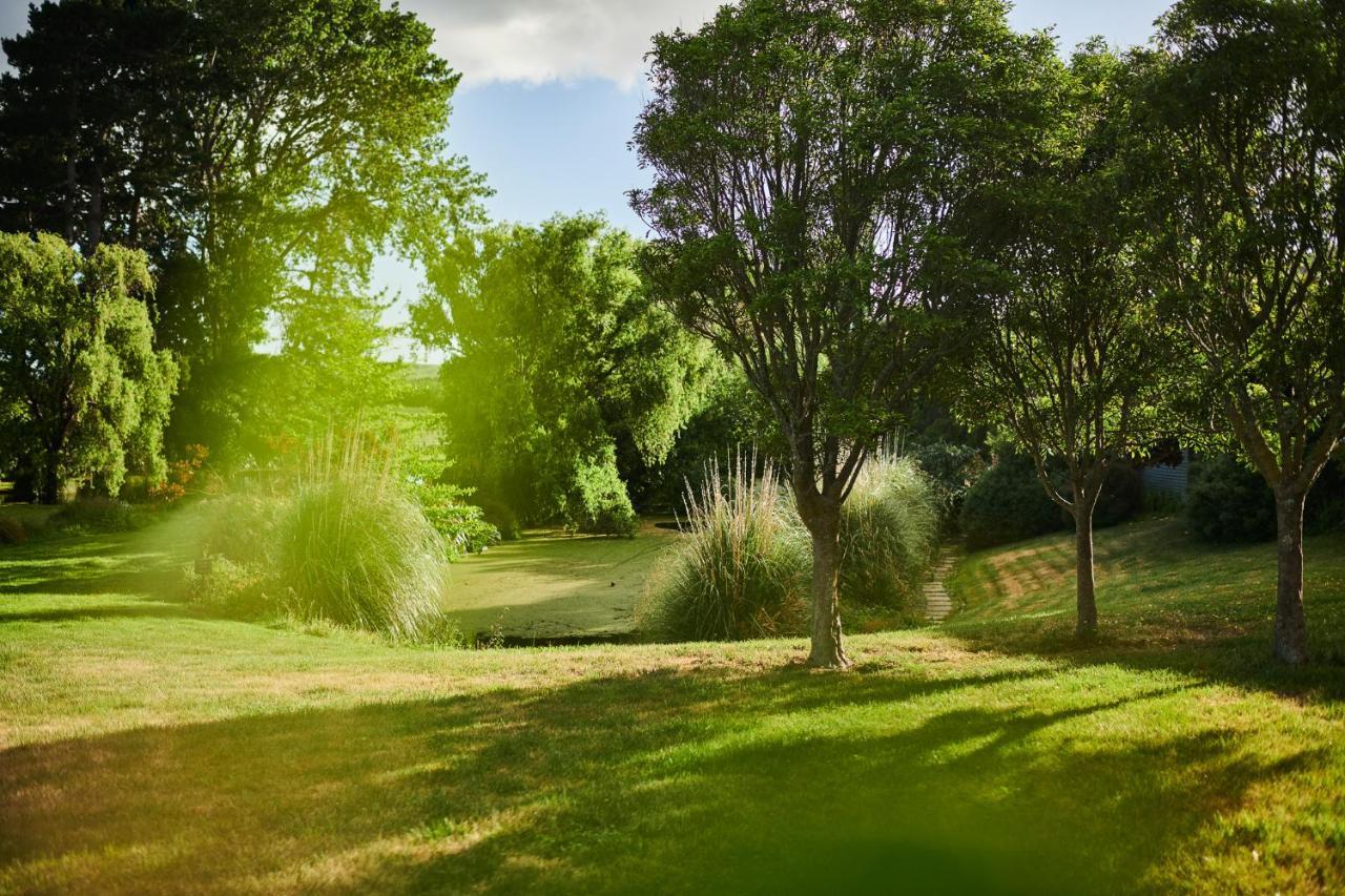 Parehua Resort Martinborough Δωμάτιο φωτογραφία