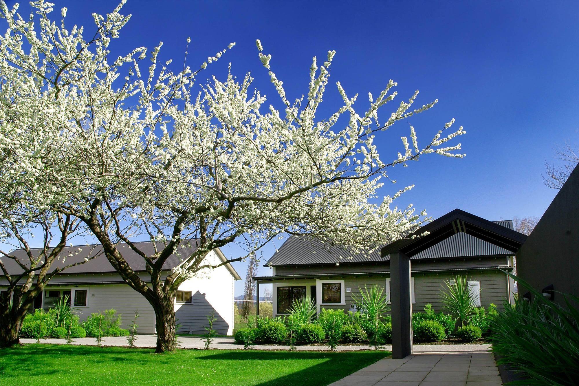 Parehua Resort Martinborough Εξωτερικό φωτογραφία Residential area in the town